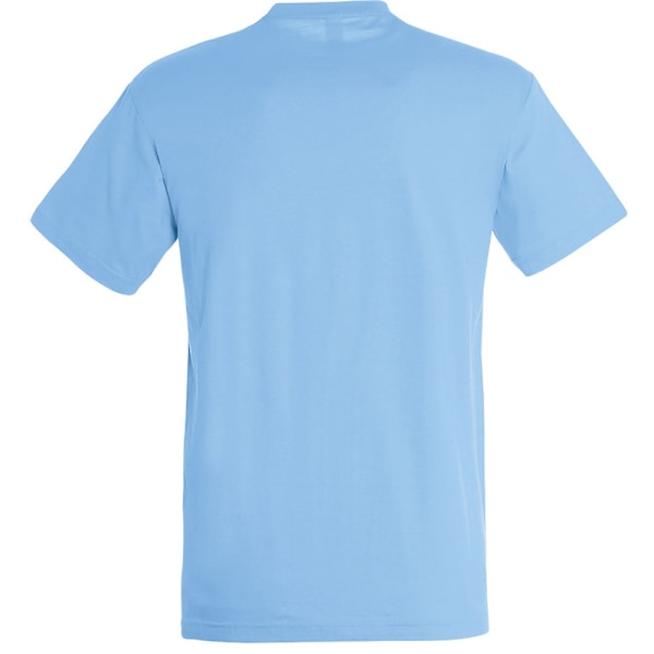 SOLS Regent Kortärmad T-shirt Herr XL Himmelsblå Sky Blue XL