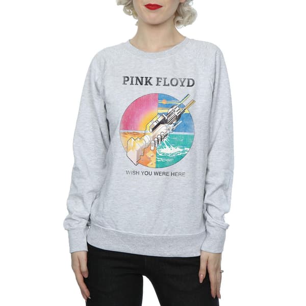 Pink Floyd Dam/Damer Önskar Du Var Här Prism Sweatshirt M Heather Grey M