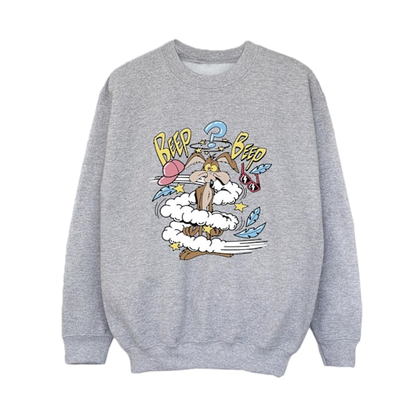 Looney Tunes Boys Coyote Daze Sweatshirt 12-13 år Sports Grey Sports Grey 12-13 Years