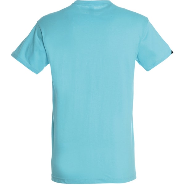 SOLS Regent kortärmad t-shirt för män S Aqua Aqua S