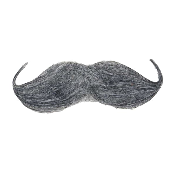 Fiestas Guirca Enkel Mustasch One Size Grå Grey One Size