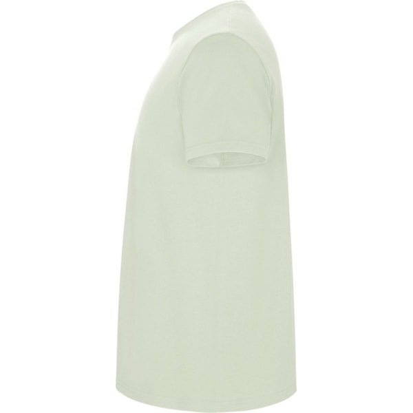 Roly Barn/Barn Stafford Kortärmad T-shirt 3-4 År Mi Mist Green 3-4 Years