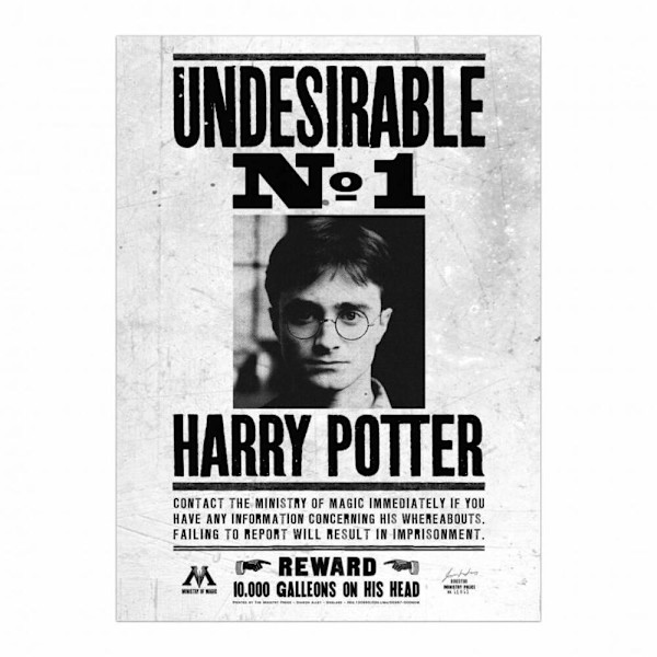 Harry Potter Oönskad nr 1 inramad canvas tavla 40cm x 30cm Black/White 40cm x 30cm