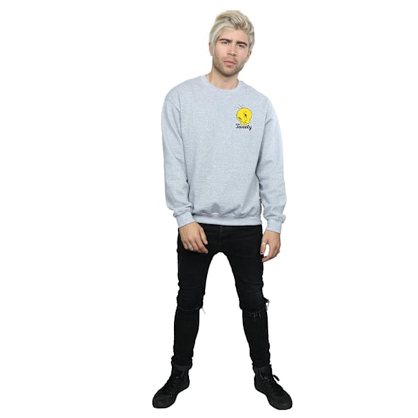 Looney Tunes Tweety Pie Huvud Sweatshirt L Sports Grey Sports Grey L