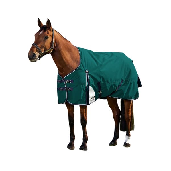 Weatherbeeta Comfitec Plus Dynamic Standard-Neck 100g Hästtäcke Forest Green/Navy 5´ 3