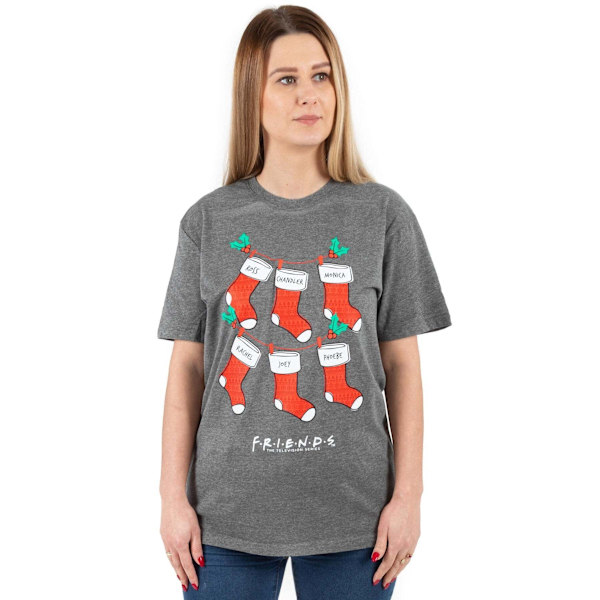 Friends Dam/Dam Stocking Jul T-shirt 3XL Grå/Röd/Vit Grey/Red/White 3XL