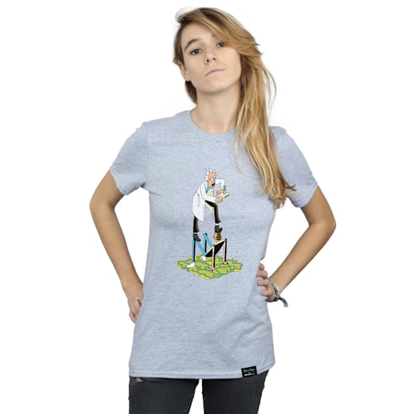 Rick And Morty Dam/Damer Stiliserade Karaktärer Bomull Pojkvän Sports Grey L