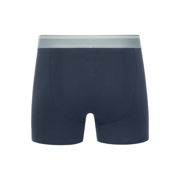 Crosshatch Herr Linatrix Boxershorts (5-pack) L Blå Blue L