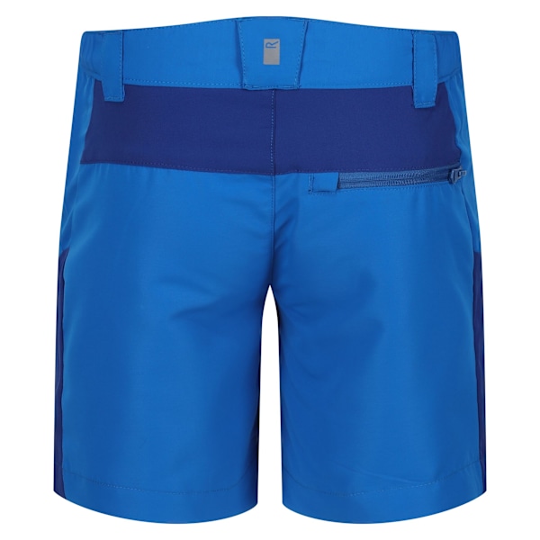 Regatta Barn/Barn Sorcer Mountain III Shorts 14 År Oxfo Oxford Blue/New Royal 14 Years