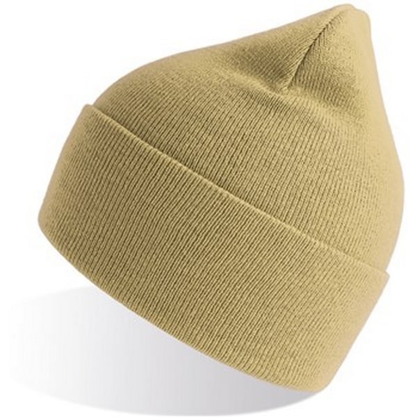 Atlantis Unisex Vuxen Ren Beanie i Återvunnet Material One Size Beige Beige One Size