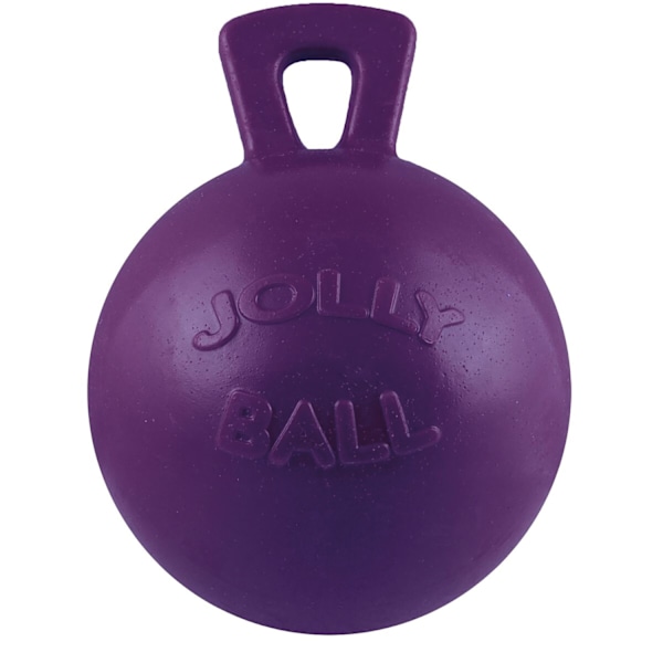 Jolly Pets Tug-N-Toss Hund Leksak 4.5 Lila Purple 4.5