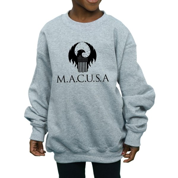 Fantastic Beasts Girls MACUSA Logo Sweatshirt 9-11 Years Sports Sports Grey 9-11 Years