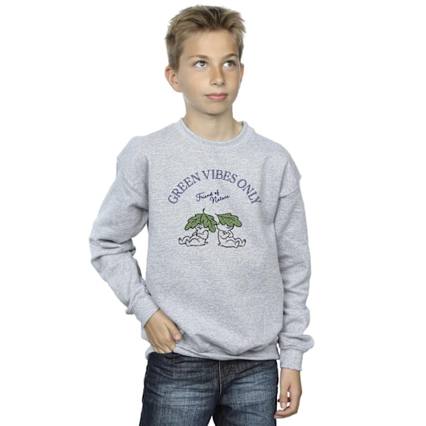 Disney Boys Chip ´n Dale Green Vibes Only Sweatshirt 7-8 år Sports Grey 7-8 Years