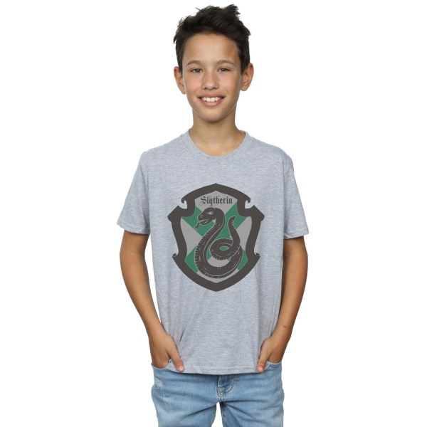 Harry Potter Boys Slytherin Crest Flat T-Shirt 9-11 år Sport Sports Grey 9-11 Years