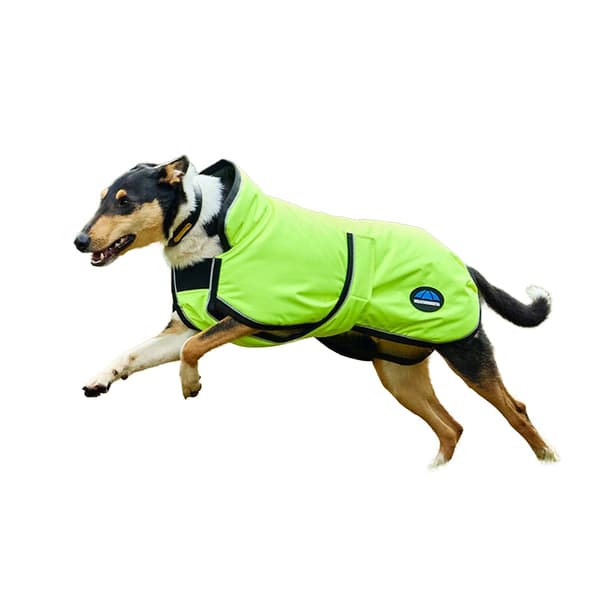 Weatherbeeta Comfitec Deluxe Reflekterande Duschsäker Hundtäcke 60 Yellow 60cm
