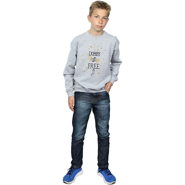 Harry Potter Pojkar Dobby Is Sweatshirt 9-11 År Sport Grå Sports Grey 9-11 Years