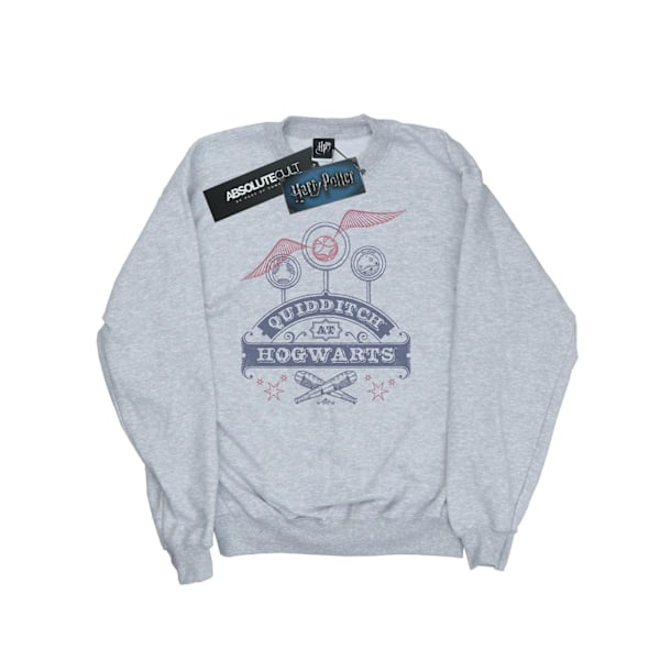 Harry Potter Quidditch på Hogwarts Sweatshirt för pojkar 9-11 år S Sports Grey 9-11 Years