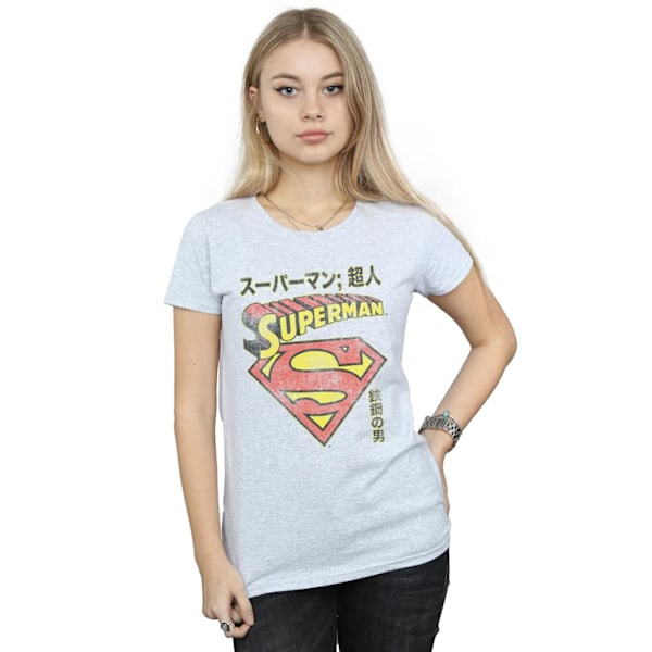 DC Comics Dam/Kvinnor Superman Shield Bomull T-shirt L Sport Sports Grey L
