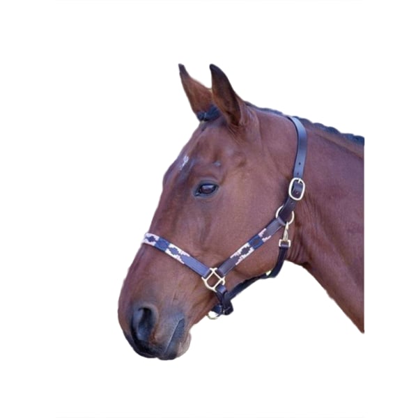 Blenheim Läder Polo Horse Headcollar Pony Rosa/Navy/Natural Pink/Navy/Natural Pony