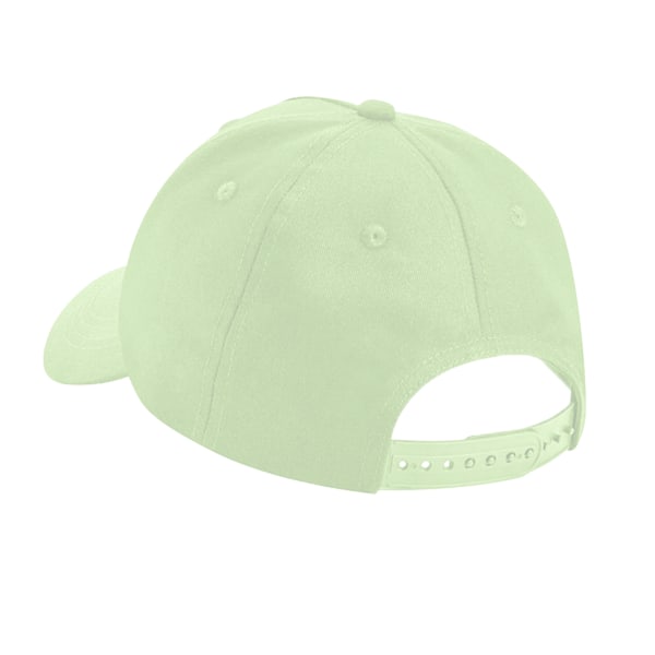 Beechfield 5 Panel Organisk Bomulls Basebollkeps One Size Pistach Pistachio One Size
