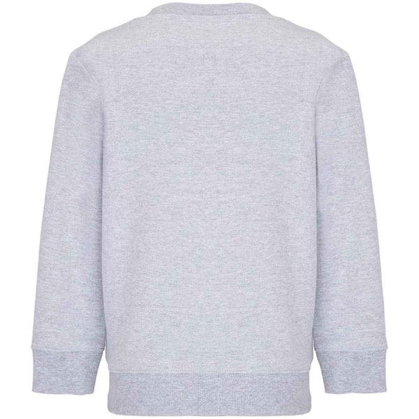 SOLS Barn/Barn Columbia Marl Sweatshirt 14 År Grå Grey 14 Years