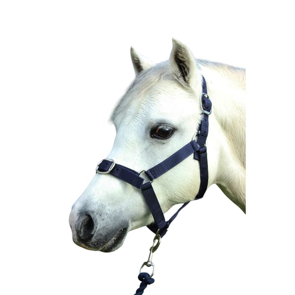 Gallop Nylon Hästgrimma & Grimskaft Cob Marinblå Navy Cob