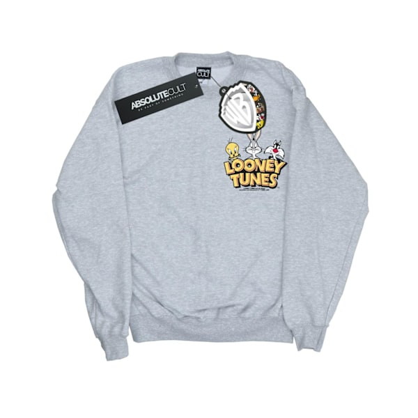 Looney Tunes Boys Group Faux Pocket Sweatshirt 9-11 år Sport Sports Grey 9-11 Years