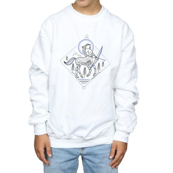 Harry Potter Pojkar Kentaur Linje Konst Sweatshirt 5-6 År Vit White 5-6 Years