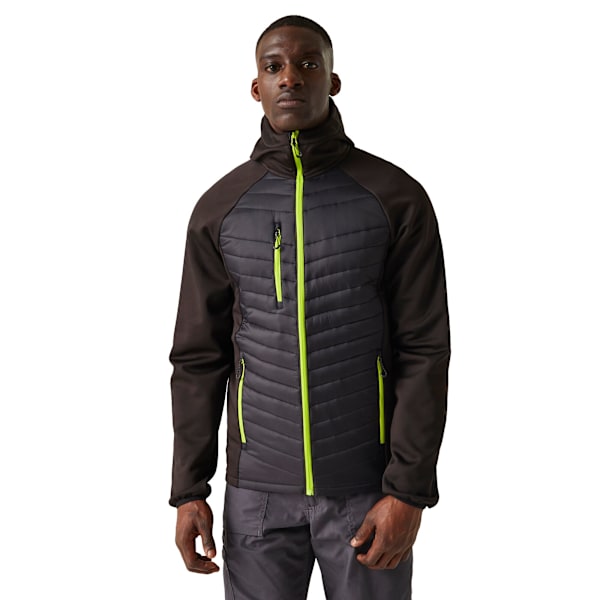 Regatta Navigate Quilted Hybrid Jacka XL Svart/Limegrön Black/Lime Green XL