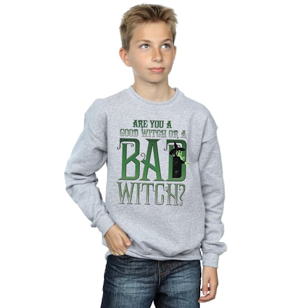 Trollkarlen från Oz Pojkar God Häxa Ond Häxa Sweatshirt 7-8 År Sports Grey 7-8 Years
