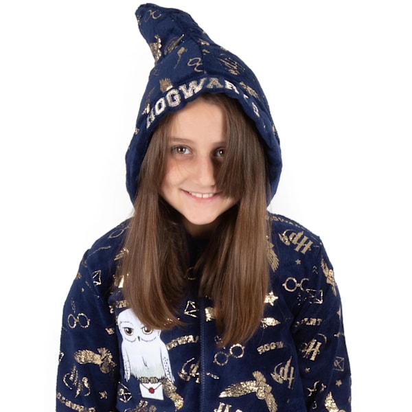 Harry Potter Barn/Barn Hedwig Hogwarts All-In-One Nattkläder Blue 8-9 Years