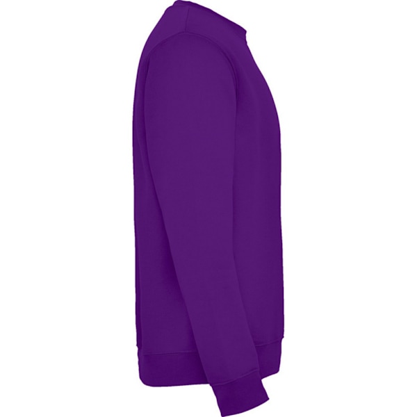 Roly Unisex Vuxen Clasica Crew Neck Sweatshirt XL Lila Purple XL