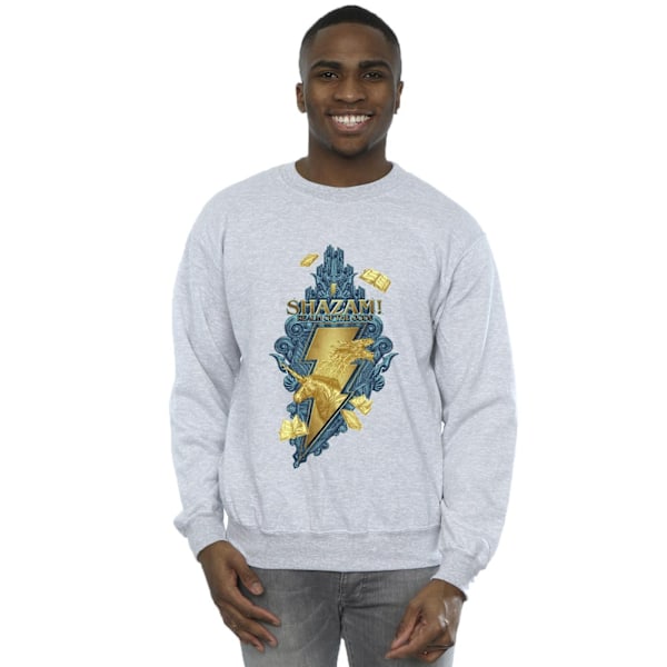 DC Comics Herr Shazam Fury Of The Gods Golden Animal Bolt Sweatshirt Sports Grey XL