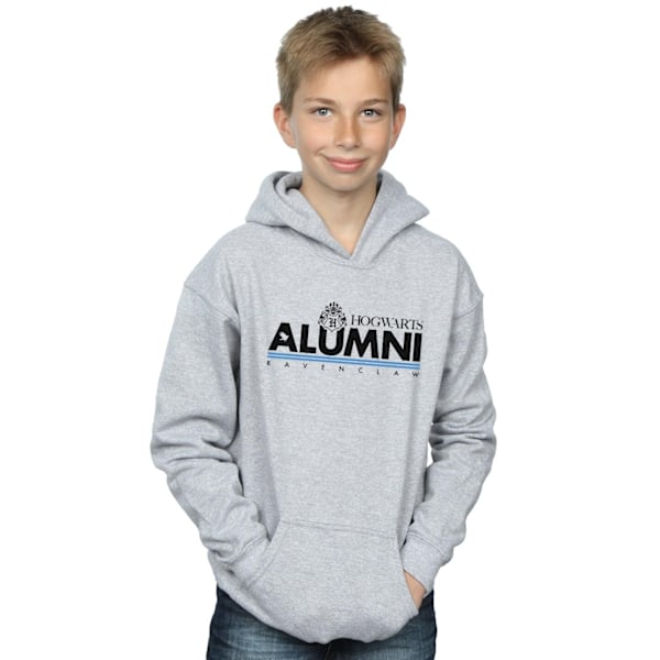 Harry Potter Boys Hogwarts Alumni Ravenclaw Hoodie 5-6 år Sp Sports Grey 5-6 Years