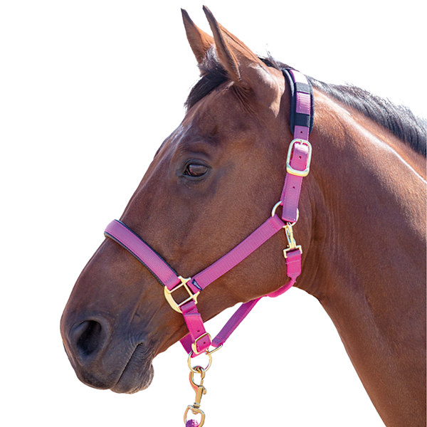 Shires Topaz Nylon Hästgrimma Cob Raspberry Raspberry Cob