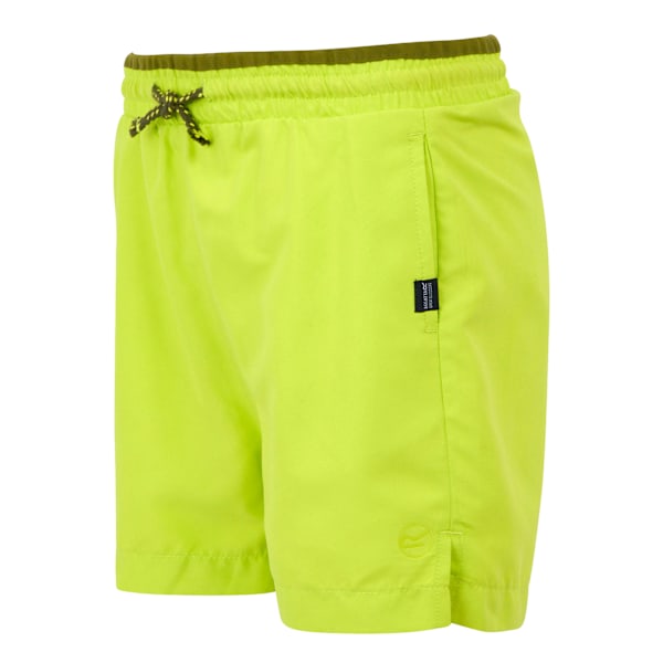 Regatta Barn/Barn Skander III Enfärgade Badshorts 15-16 År Wild Lime 15-16 Years