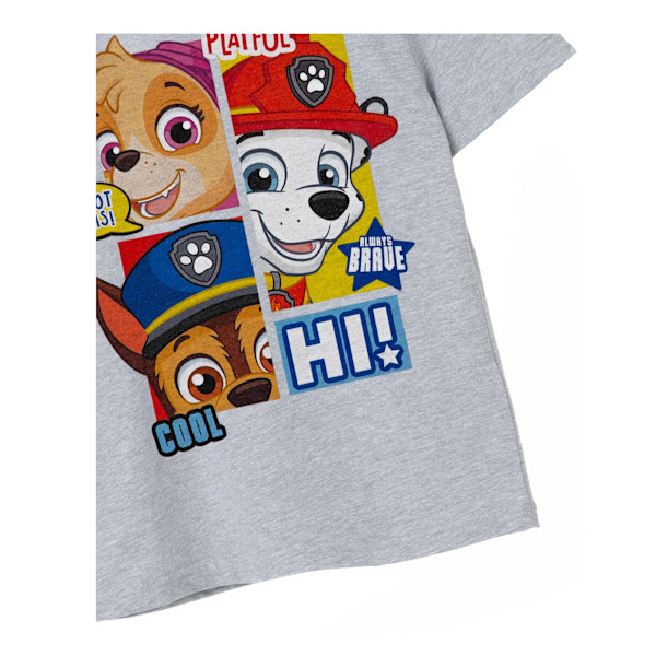 Paw Patrol Boys Peekaboo T-Shirt 3-4 år Gråmelerad Grey Marl 3-4 Years