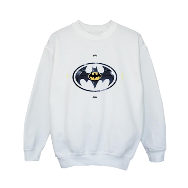 DC Comics Boys The Flash Batman Metal Logo Sweatshirt 12-13 år White 12-13 Years