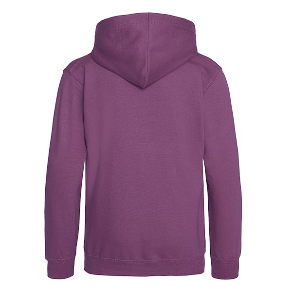 Awdis Barn Unisex Huvtröja / Hoodie / Skolkläder 3-4 År Plum 3-4 Years