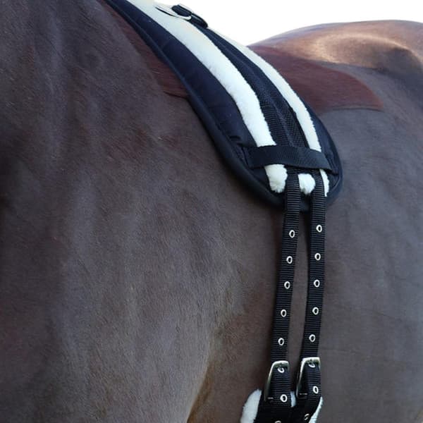 Hy Roller Häst Longeringspad Cob Svart Black Cob