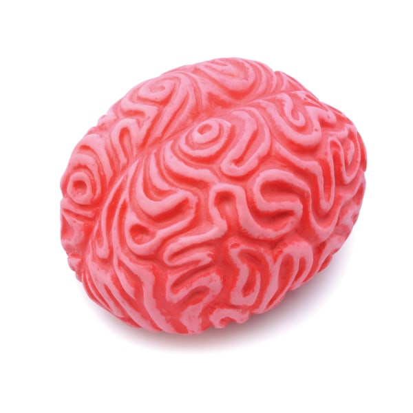 Bristol Novelty Squeezy Brain One Size Rosa Pink One Size