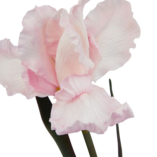 Hill Interiors The Natural Garden Collection Fringed Iris Konstgjord Pale Pink One Size