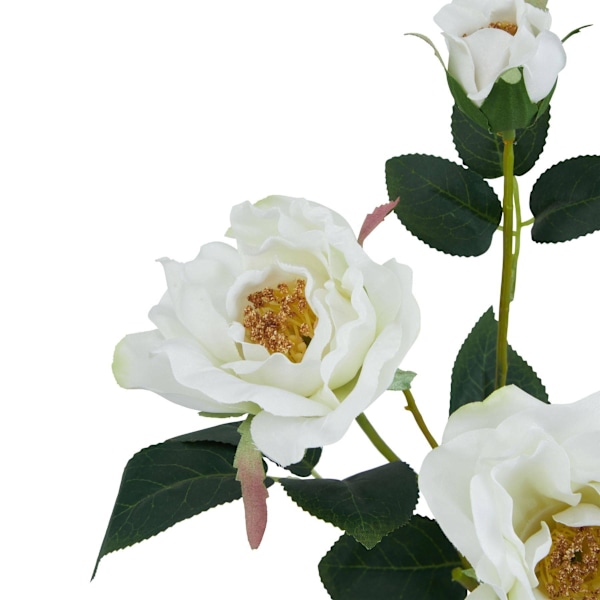 Hill Interiors The Natural Garden Collection Konstgjord Te-ros White One Size