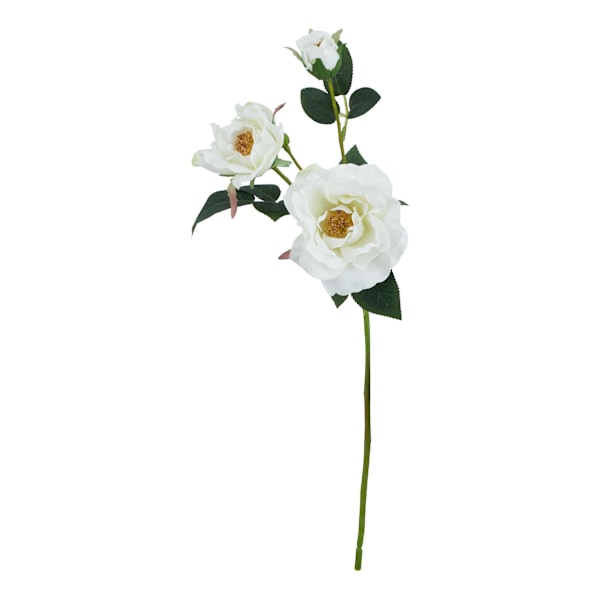 Hill Interiors The Natural Garden Collection Konstgjord Te-ros White One Size