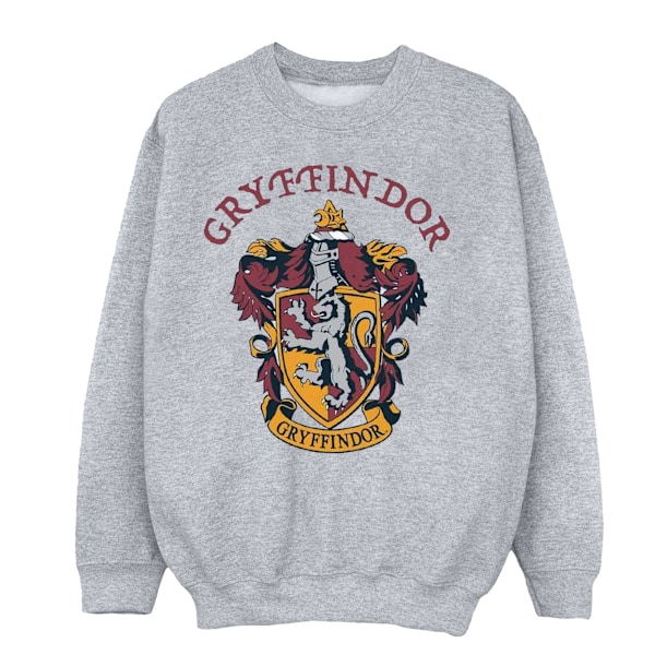 Harry Potter Pojkar Gryffindor Bomullströja 12-13 År Spor Sports Grey 12-13 Years