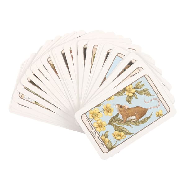 Something Different Woodland Wardens Oracle Cards One Size Mult Multicoloured One Size