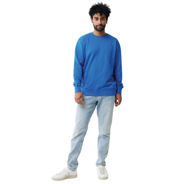 Iqoniq Unisex Vuxen Etosha Återvunnen Bomull Lättvikts Sweatshirt Royal Blue 3XL