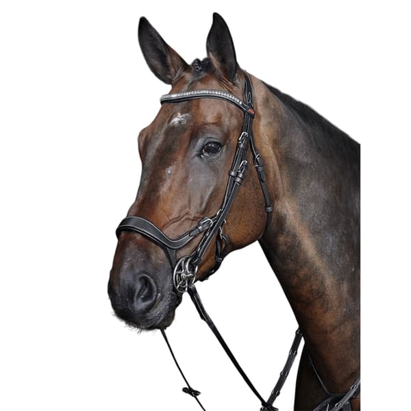 Whitaker Chicago Andningsbart Anatomiskt Läder Träns Wit Black Pony