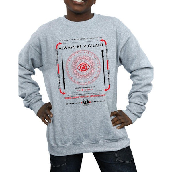 Fantastiska vidunder Boys Always Be Vigilant Sweatshirt 5-6 år S Sports Grey 5-6 Years