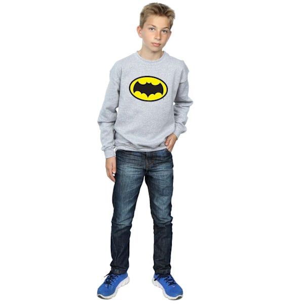 DC Comics Boys Batman TV-serie logotyp tröja 5-6 år Sport Sports Grey 5-6 Years